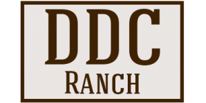 DDC Ranch Bison Cow Calves