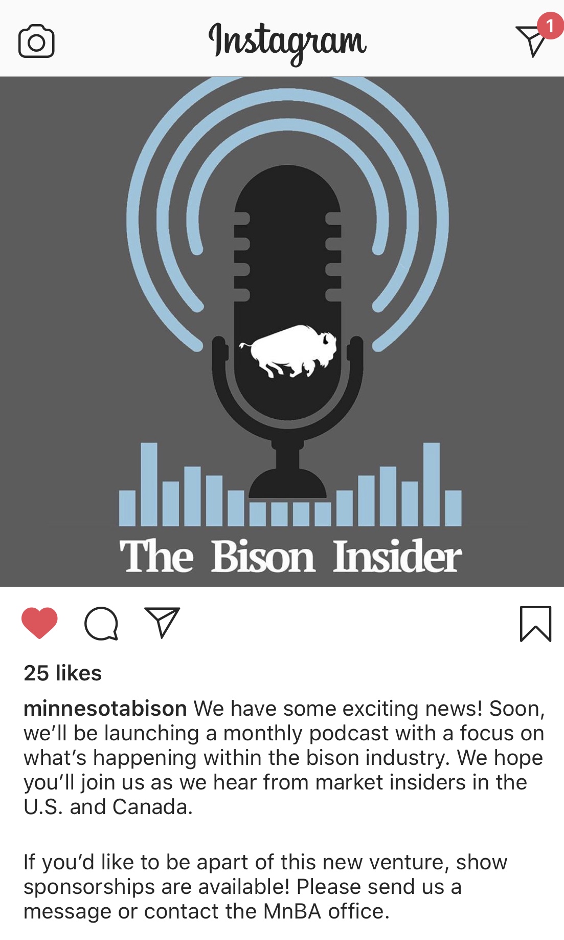 MN Bison Insider Podcast Image
