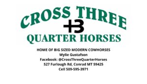 Cross Three Quarter Horses BC