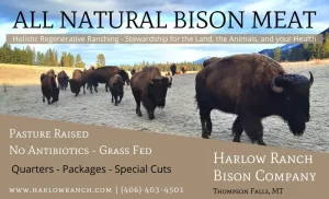 Harlow Ranch Bison Company