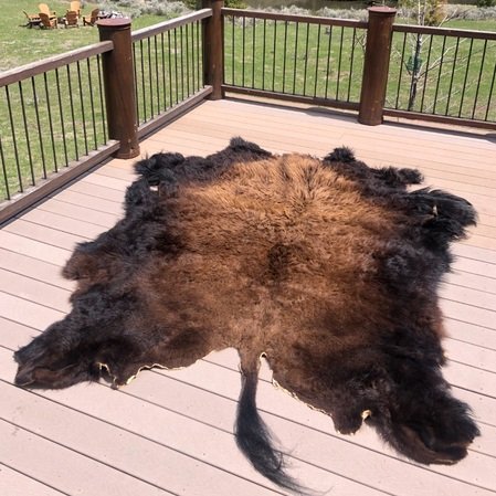 Big Sky Bison Hide for Sale